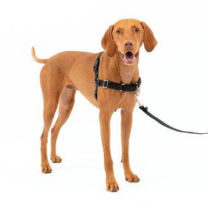 PetSafe Easy Walk No-Pull Leash Training Dog Harness, Large, Black/Charcoal